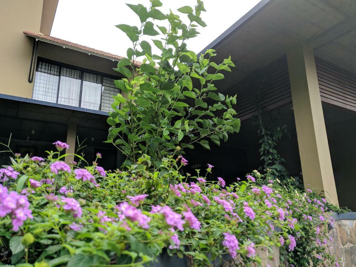 Homestay Namaha Meppādi Buitenkant foto